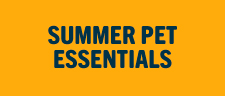 Summer Pet Essentials