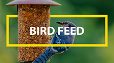 Bird Feed Products
