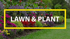 Garden Lawn & Plant Care Products
