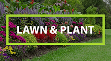 Garden Lawn & Plant Care Products
