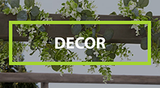 Garden Decor Products