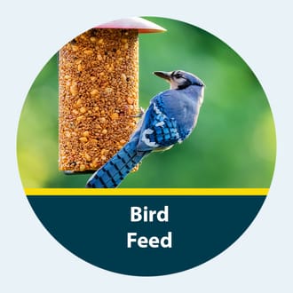 shop bird feed