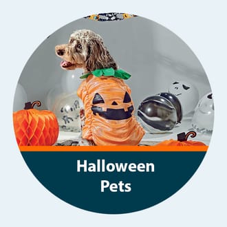 halloween pets