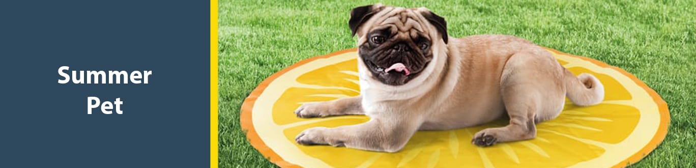 shop summer pet products