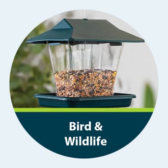 shop bird feeders