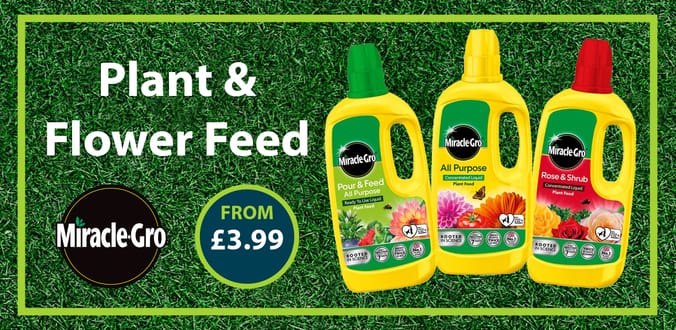shop miracle grow