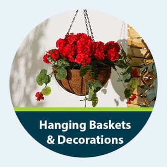 shop hanging baskets