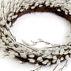 The Lifestyle Edit Willow Wreath