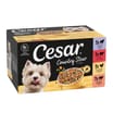 Cesar Country Stew Wet Dog Food Mixed Trays 8 x 150g