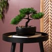 Ports Of Call Faux Bonsai Tree In Black Pot