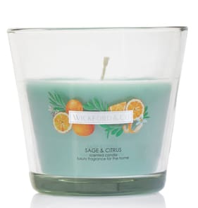 Wickford & Co Scented Candle 5oz - Sage & Citrus