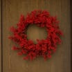 Festive Feeling 55cm Berry Christmas Wreath
