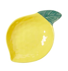 The Outdoor Living Collection Large Bowl - Lemon