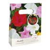 Beautifleur Perennial Tent Bag - Mirabilis