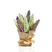 The Lifestyle Edit Hyacinth In Hessian