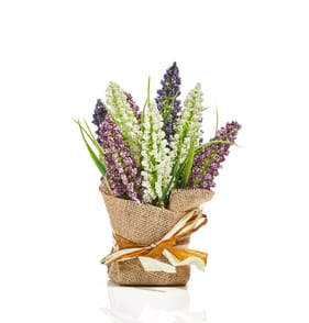The Lifestyle Edit Hyacinth In Hessian