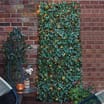 Firefly Ivy Trellis Solar Lights