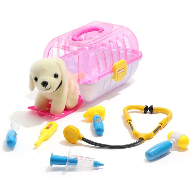 Cat carrier home hot sale bargains