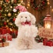 Sleigh Bells Sitting Dog Plus - Hat