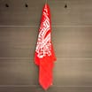 Liverpool FC YNWA Beach Towel