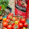 Levington Tomorite Concentrated Tomato Food 1 Litre