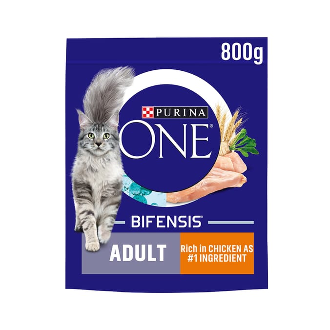 Purina One Chicken & Whole Grains Dry Cat Food 800g