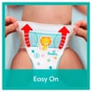 Pampers Baby-Dry Nappy Pants 21's Size 5