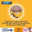 Pedigree Dentastix Chewy Chunx Mini Dog Treat Chicken Flavour 68g x5