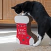 Festive Paws Scratch Tree - Stocking