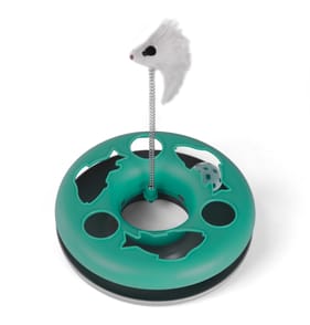 Martha's Crazy Cat Circle - Mint