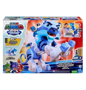 PJ Masks Animal Power Charge and Roar Power Cat Preschool Toy