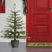 Festive Feeling Premium Pine Potted Tree 4ft