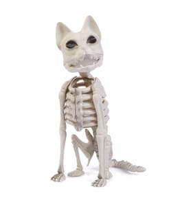 Hallow Scream Skeleton Animal Decoration - Cat
