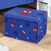 SpideY And His Amazing Friends Storage Chest