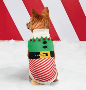Chester's Knitted Pet Jumper - Elf