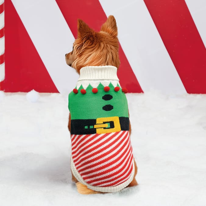 Chester s Knitted Pet Jumper Elf Home Bargains