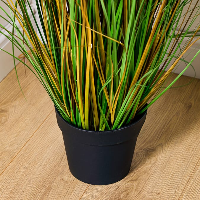 Home Collections Pamper Grass 