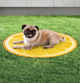 My Pets Cooling Mat - Orange