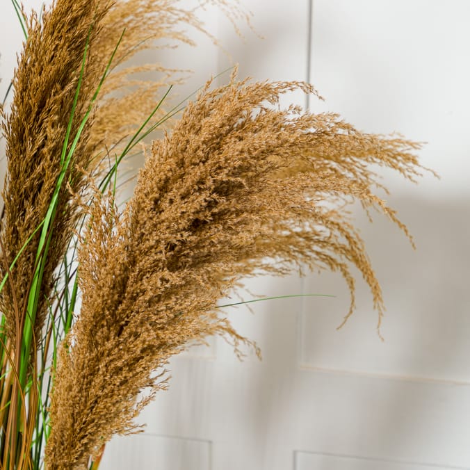 Home Collections Pamper Grass