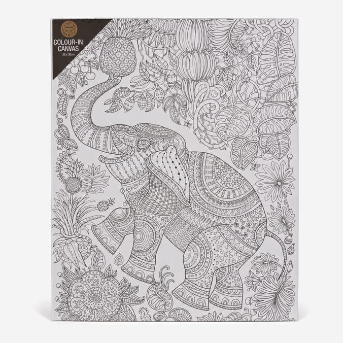 Colour Your Own Canvas 25x30cm Assorted