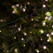 Firefly 50 LED Garden Solar Power String Lights