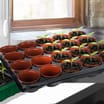 Jardin 20 Mini Place Pots In A Tray