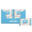 Whoopie Doo Flushable Toilet Wipes 60's x24