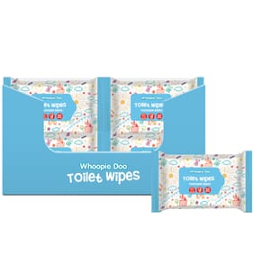 Whoopie Doo Flushable Toilet Wipes 60's x24