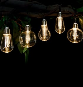 Firefly 10 Festoon Solar Lights