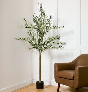 Home Collection Olive Tree 180cm
