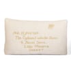 Harry Potter Envelope Cushion