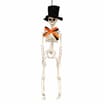 Hallow Scream Skeleton Hanging Decoration Assorted