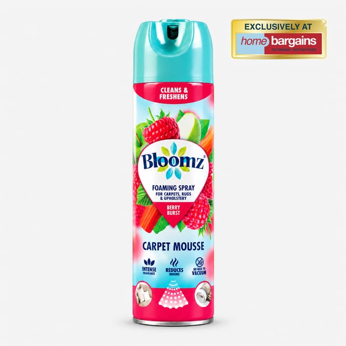 Bloomz Foaming Carpet Mousse 500ml - Berry Blast