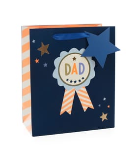 Small Dad Gift Bag